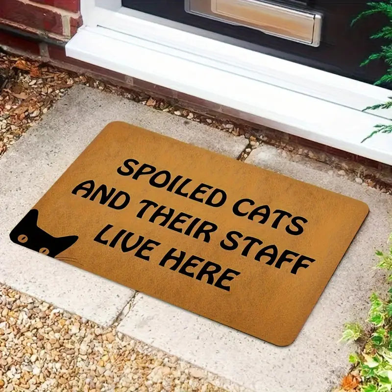 Non Slipn Door Mat