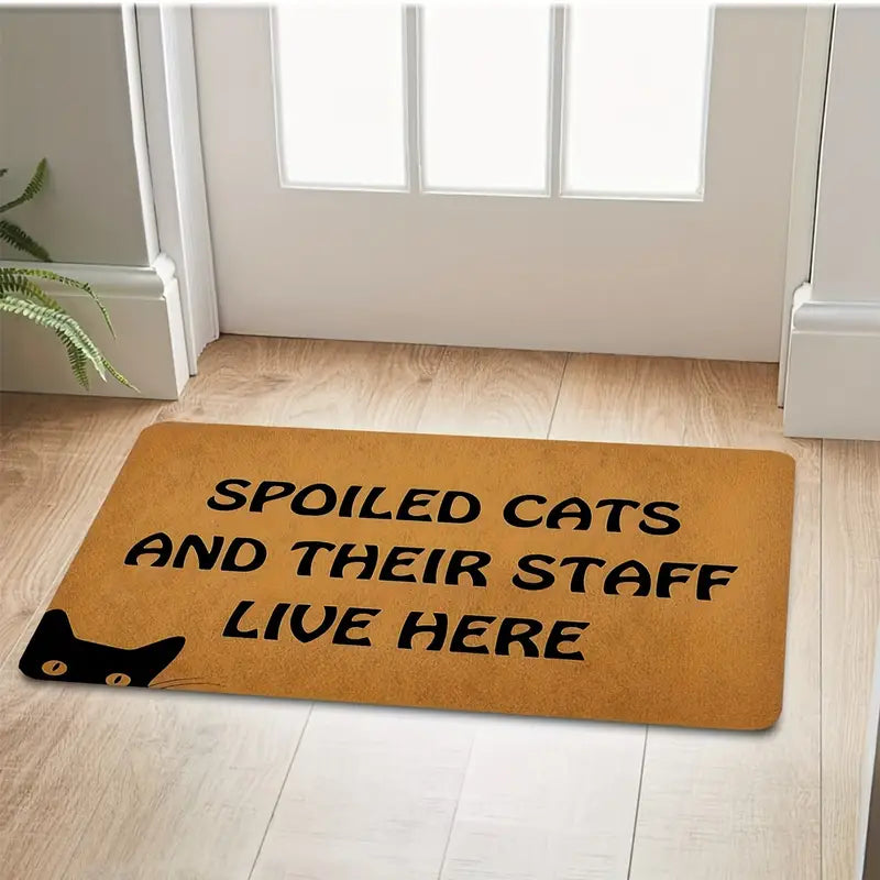 Non Slipn Door Mat