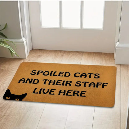 Non Slipn Door Mat